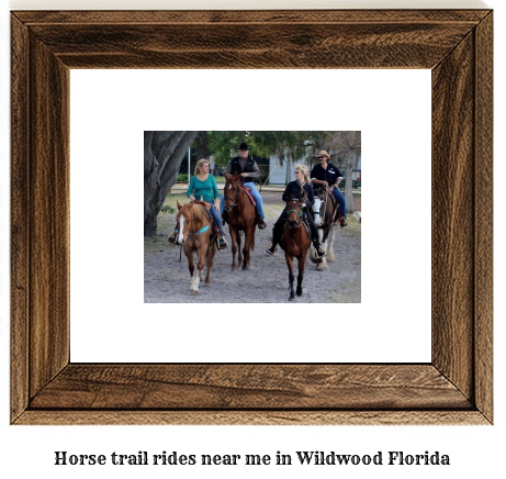 horse trail rides near me in Wildwood, Florida